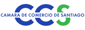 css-300x105